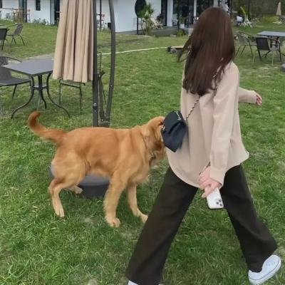 我是那不勒斯人 海报