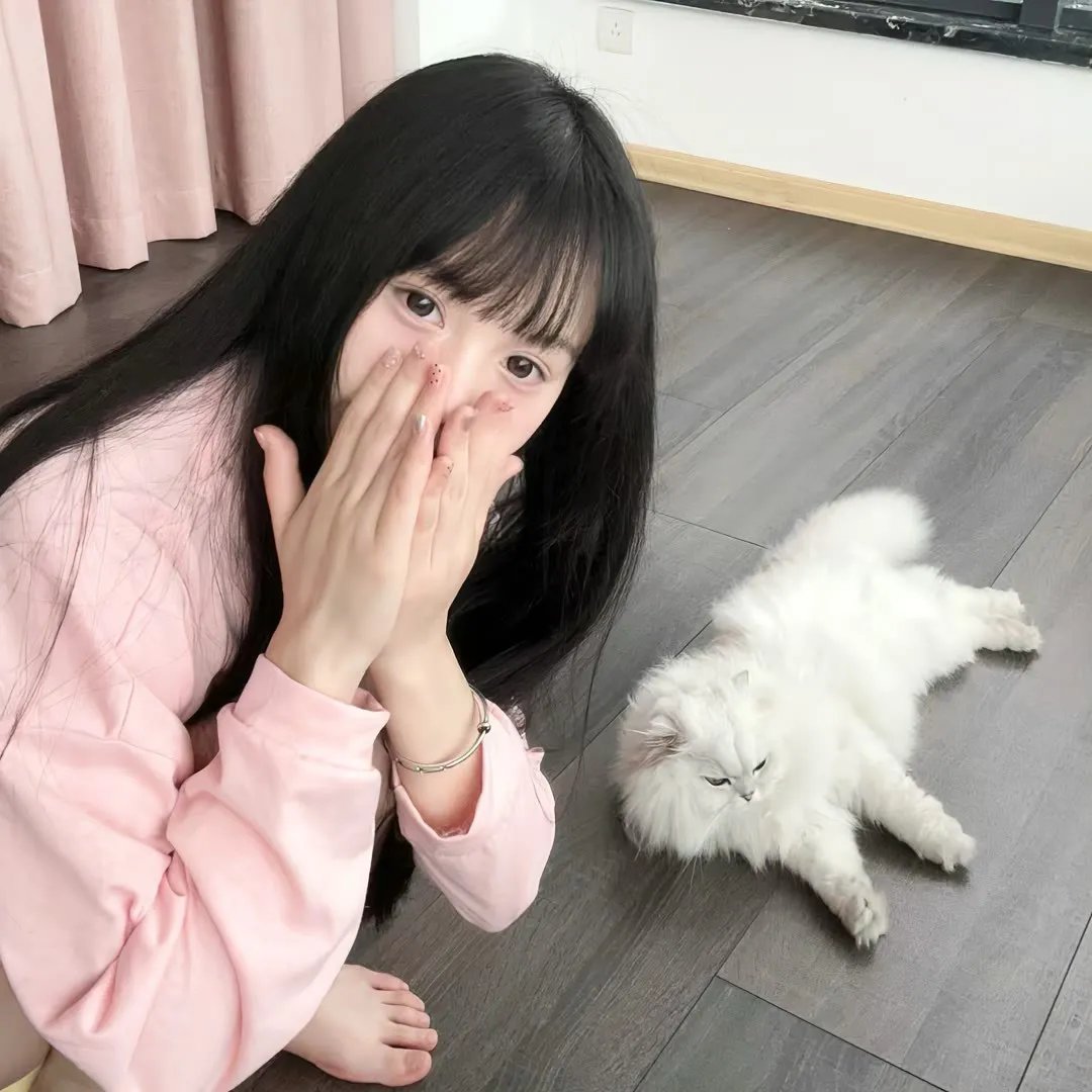 猛龙过江 海报